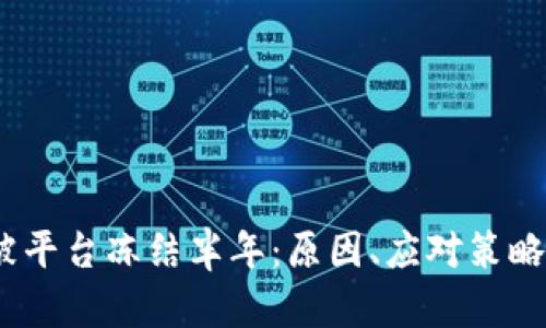 USDT钱包被平台冻结半年：原因、应对策略与未来展望