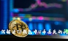如何解决TP钱包中U币丢失