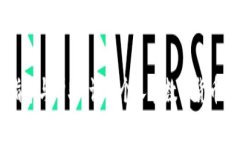   如何处理TP钱包被转走的