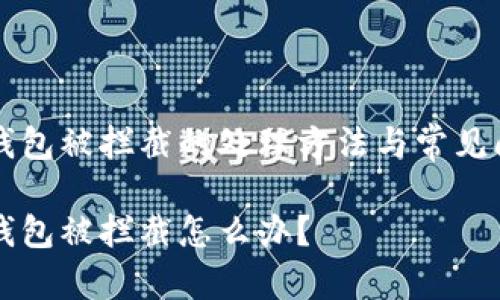 下载TP钱包被拦截的处理方法与常见问题解答

下载TP钱包被拦截怎么办？