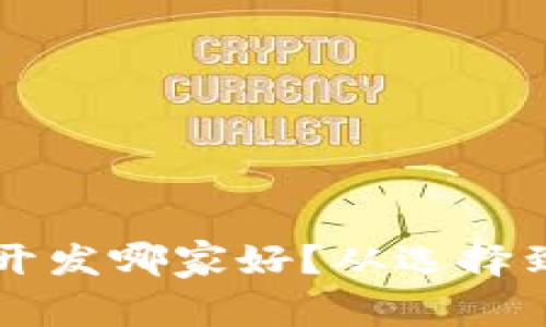 区块链钱包系统开发哪家好？从选择到评估的全面指南