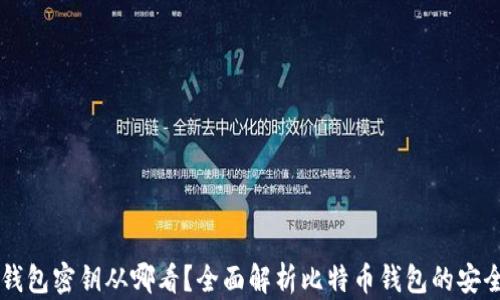 
比特币钱包密钥从哪看？全面解析比特币钱包的安全与使用