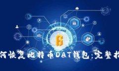 如何恢复比特币DAT钱包：完整指南